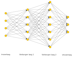 neuraal_netwerk
